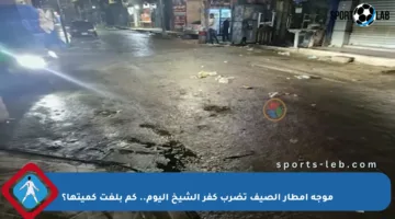 موجة أمطار الصيف تضرب كفر الشيخ اليوم.. كم بلغت كميتها؟